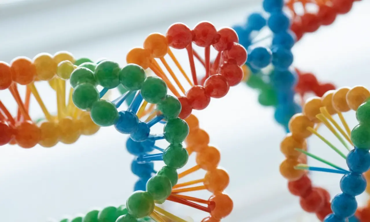 Modèle moléculaire coloré de lADN détaillé